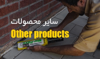سایر محصولات